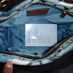 Inside of the Bag